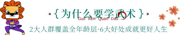 为什么要学武术标题图片