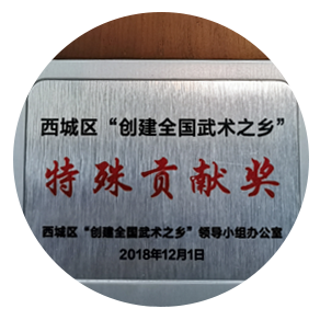 2018年西城区&ldquo;创建全国武术之乡&rdquo;特殊贡献奖