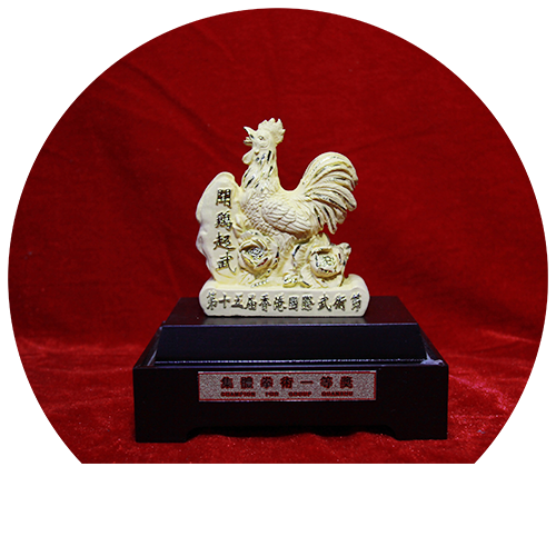 第十五届香港国际武术节荣获集体拳术一等奖